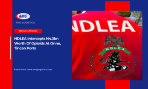 NDLEA Intercepts N4.3bn Worth Of Opioids At Onne, Tincan Ports